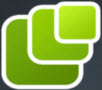 Panter Logo